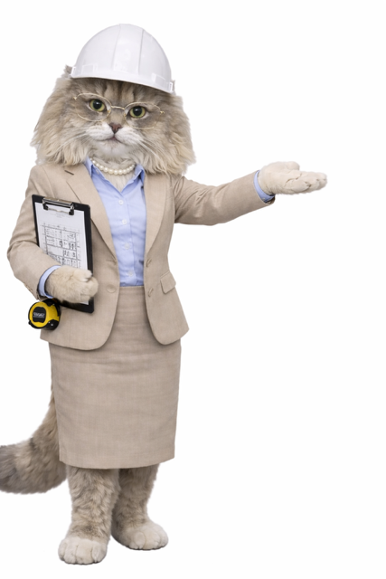 014D8134-F94C-4E5E-9065-CC23B35AB3D9.PNG