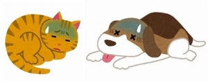 ペット病気.jpg