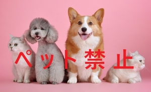ペット禁止２.jpg