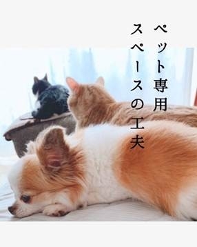 ペット専用スペースの工夫.jpg