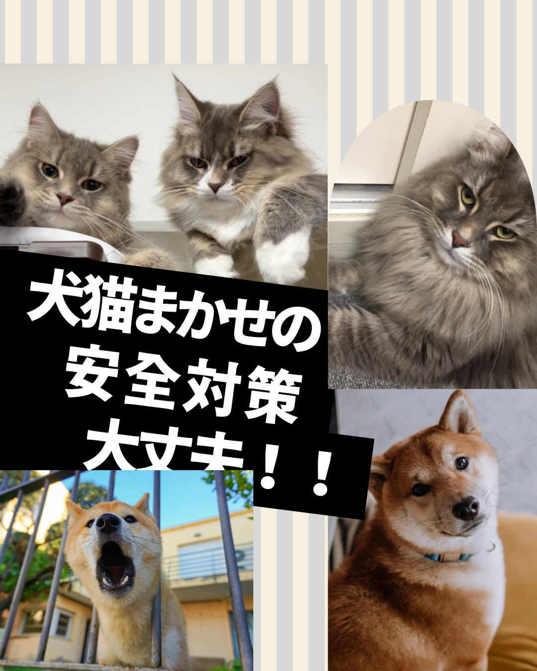 年末年始に見直す"我が家の安全対策"