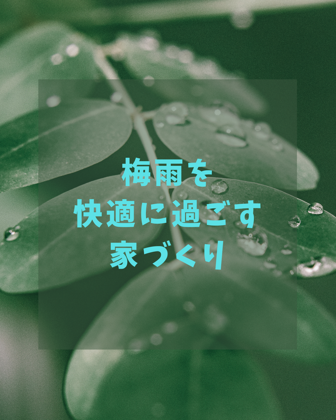 梅雨を快適に過ごす家づくり