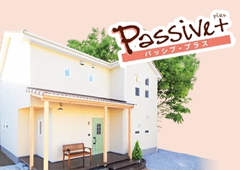 passive01.jpg